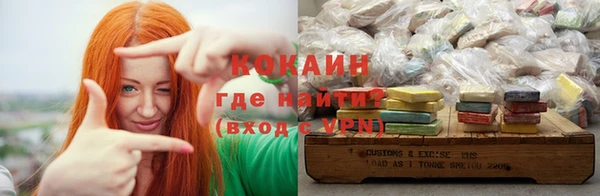 прущие грибы Балабаново