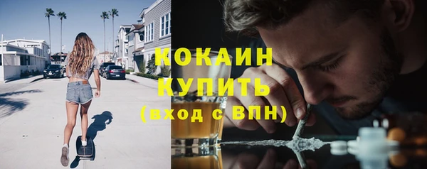 прущие грибы Балабаново