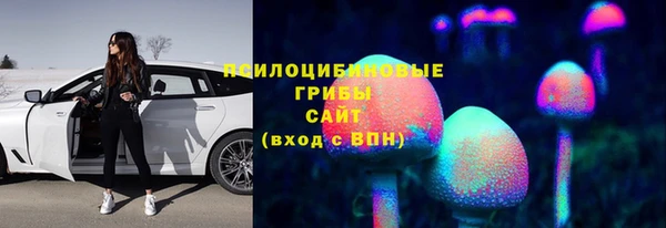 прущие грибы Балабаново