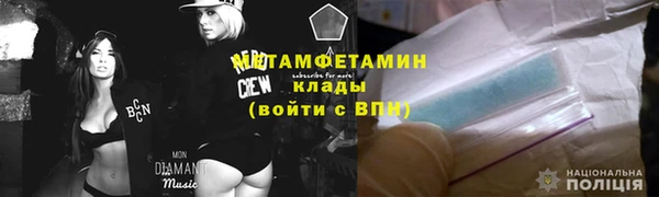 прущие грибы Балабаново