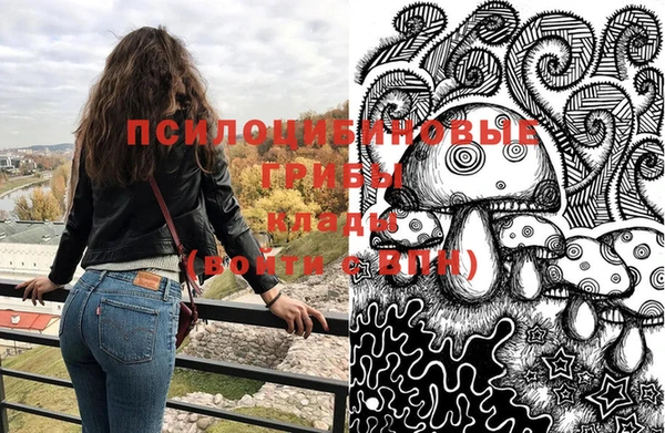 прущие грибы Балабаново