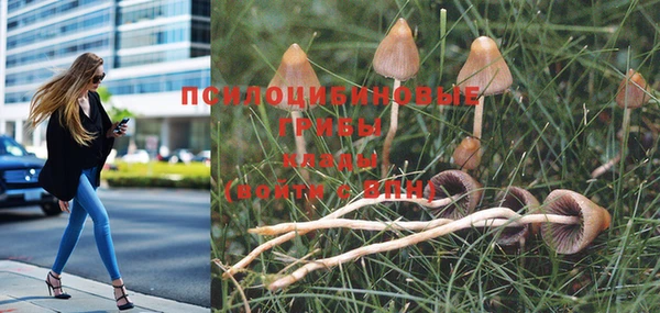 прущая мука Магадан