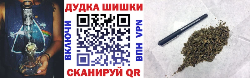 как найти наркотики  Борзя  Конопля индика 